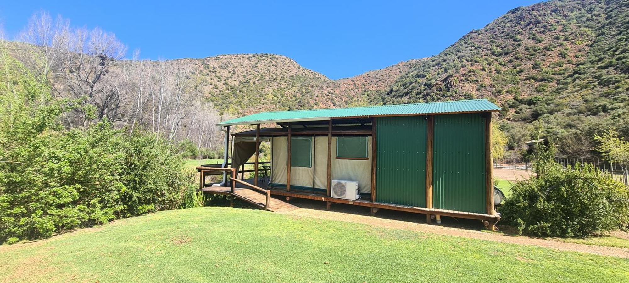 Old Mill Lodge, Seasonal Working Ostrich Farm & Restaurant, Oudtshoorn Bilik gambar