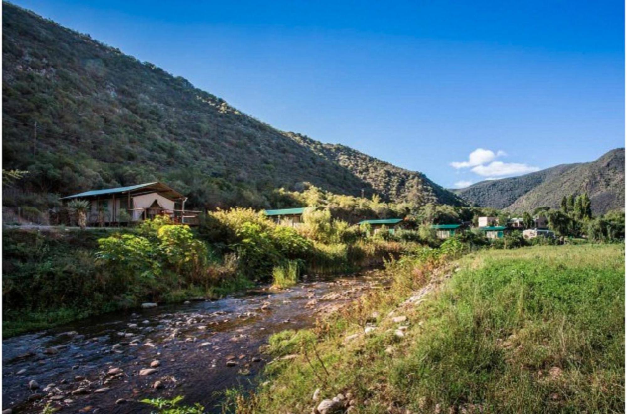 Old Mill Lodge, Seasonal Working Ostrich Farm & Restaurant, Oudtshoorn Bilik gambar