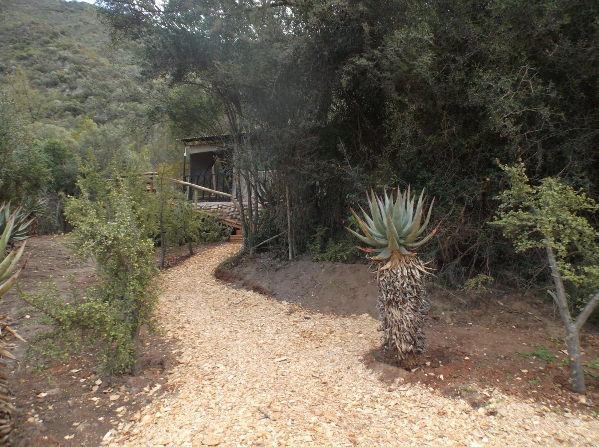 Old Mill Lodge, Seasonal Working Ostrich Farm & Restaurant, Oudtshoorn Bilik gambar