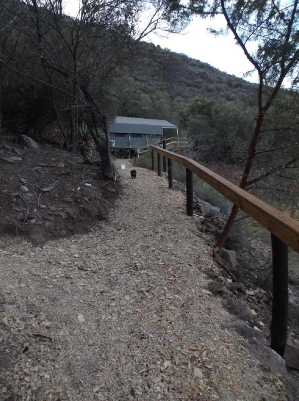 Old Mill Lodge, Seasonal Working Ostrich Farm & Restaurant, Oudtshoorn Bilik gambar